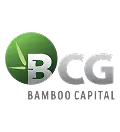 BCG_Logo.webp